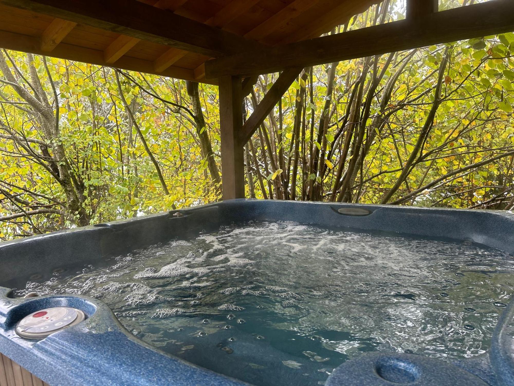 Chalet Adonis - Montriond, Morzine, Avoriaz Exteriér fotografie
